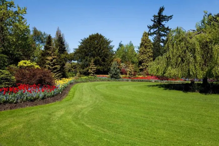 What Does Lawn Maintenance Include San Rafael, CA What Does Lawn Maintenance Include San Rafael, CA