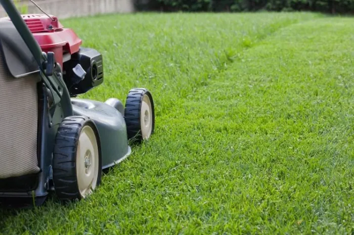 What Does Lawn Maintenance Include in San Rafael, CA What Does Lawn Maintenance Include in San Rafael, CA
