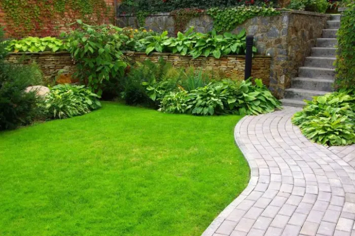 What Is Lawn Maintenance San Rafael, CA What Is Lawn Maintenance San Rafael, CA