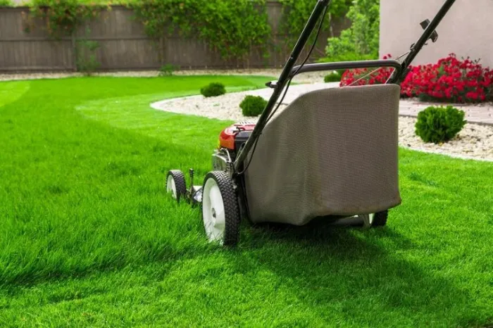 What Is Lawn Maintenance in San Rafael, CA What Is Lawn Maintenance in San Rafael, CA